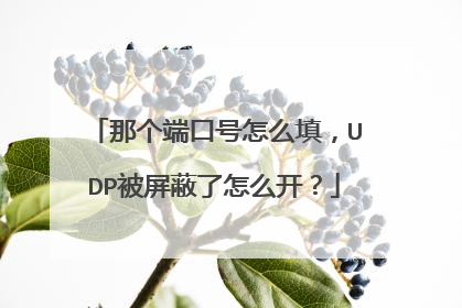 那个端口号怎么填,UDP被屏蔽了怎么开?