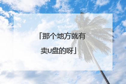 那个地方就有卖U盘的呀