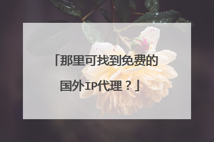 那里可找到免费的国外IP代理？