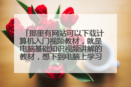那里有网站可以下载计算机入门视频教材，就是电脑基础知识视频讲解的教材，想下到电脑上学习，请大家给个