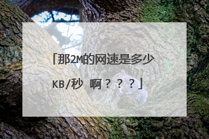 那2M的网速是多少KB/秒 啊？？？