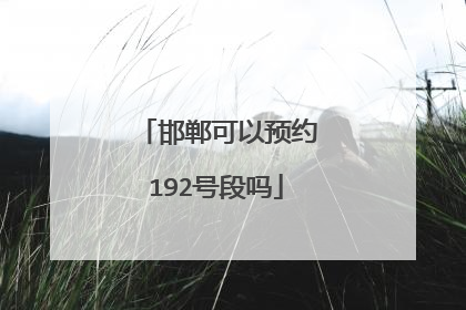 邯郸可以预约192号段吗