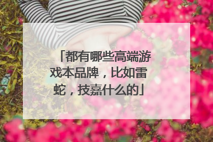 都有哪些高端游戏本品牌,比如雷蛇,技嘉什么的