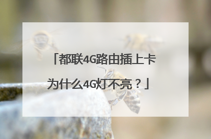 都联4G路由插上卡为什么4G灯不亮?