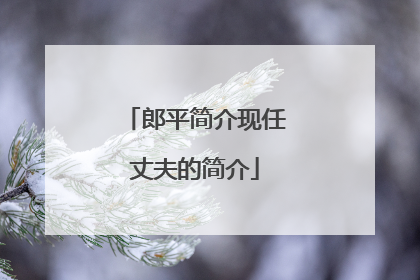 郎平简介现任丈夫的简介