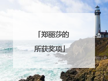 郑丽莎的所获奖项