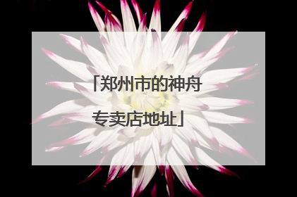 郑州市的神舟专卖店地址