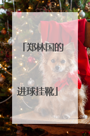 郑林国的进球挂靴