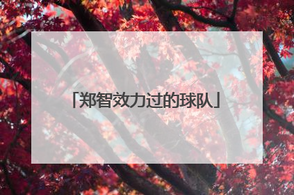 郑智效力过的球队