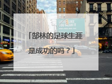 郜林的足球生涯是成功的吗?