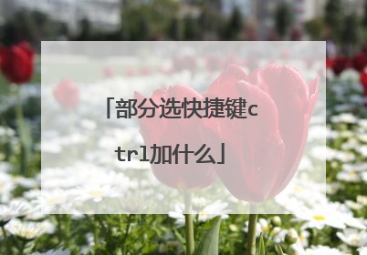 部分选快捷键ctrl加什么