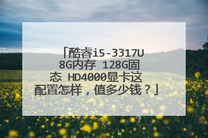 酷睿i5-3317U 8G内存 128G固态 HD4000显卡这配置怎样,值多少钱?