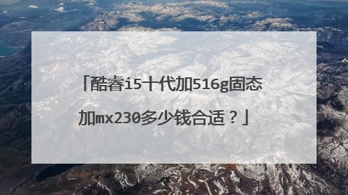 酷睿i5十代加516g固态加mx230多少钱合适?