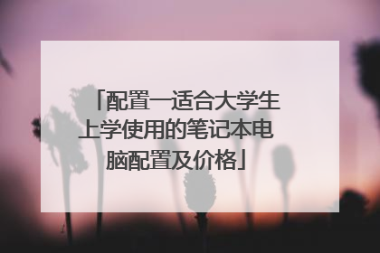 配置一适合大学生上学使用的笔记本电脑配置及价格