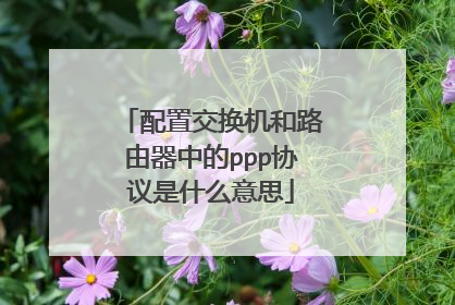 配置交换机和路由器中的ppp协议是什么意思