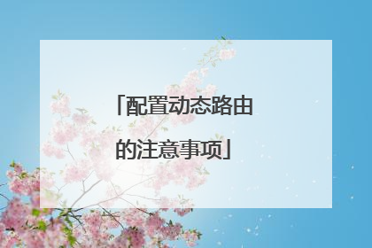 配置动态路由的注意事项
