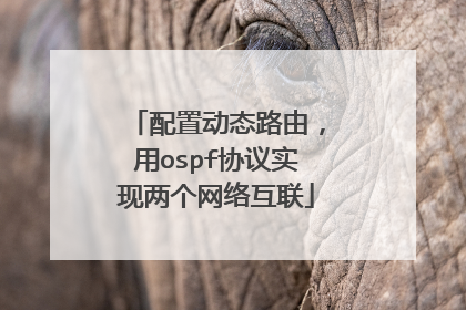 配置动态路由，用ospf协议实现两个网络互联