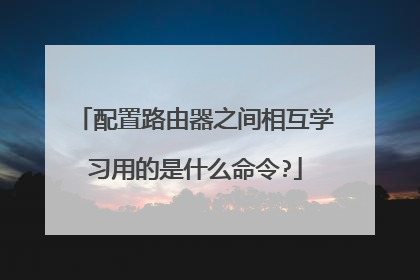 配置路由器之间相互学习用的是什么命令?