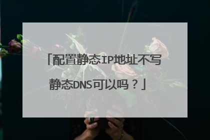配置静态IP地址不写静态DNS可以吗？