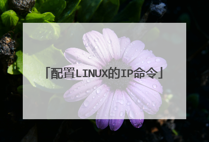配置LINUX的IP命令