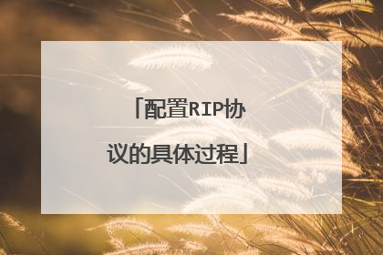 配置RIP协议的具体过程