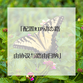 配置RIP动态路由协议与路由归纳