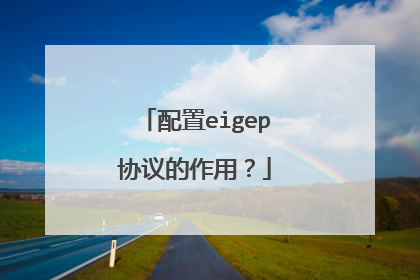 配置eigep协议的作用？
