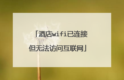 酒店wifi已连接但无法访问互联网