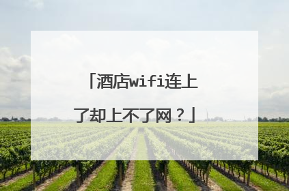 酒店wifi连上了却上不了网？