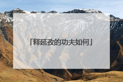 释延孜的功夫如何