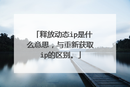 释放动态ip是什么意思,与重新获取ip的区别。