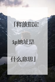 释放指定ip地址是什么意思