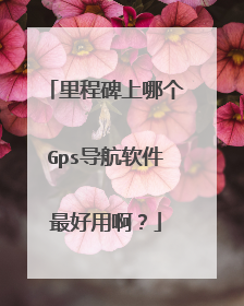 里程碑上哪个Gps导航软件最好用啊?