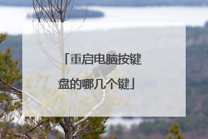 重启电脑按键盘的哪几个键