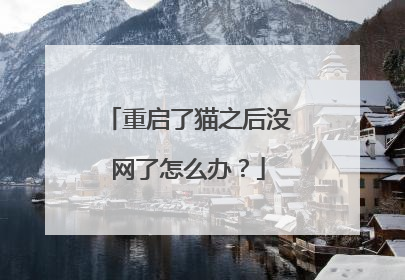 重启了猫之后没网了怎么办？