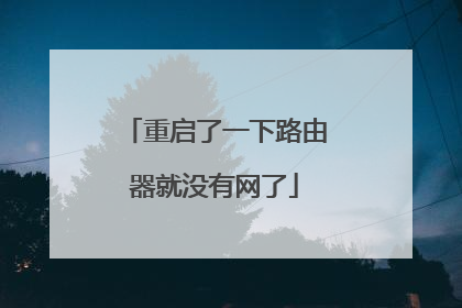 重启了一下路由器就没有网了