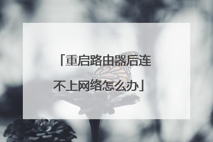 重启路由器后连不上网络怎么办