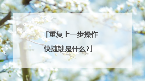 重复上一步操作快捷键是什么?