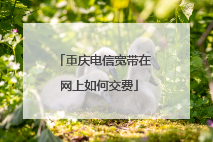 重庆电信宽带在网上如何交费