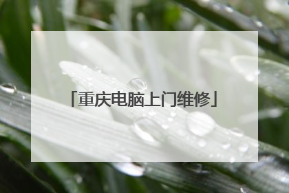 重庆电脑上门维修