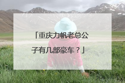 重庆力帆老总公子有几部豪车？