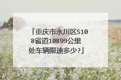重庆市永川区S108省道10899公里处车辆限速多少?