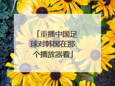 重播中国足球对韩国在那个播放器看