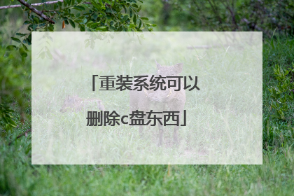 重装系统可以删除c盘东西