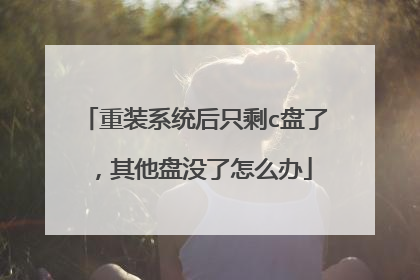 重装系统后只剩c盘了,其他盘没了怎么办