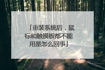 重装系统后,鼠标和触摸板都不能用是怎么回事