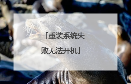重装系统失败无法开机