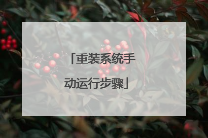 重装系统手动运行步骤
