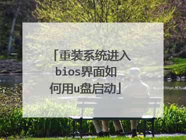 重装系统进入bios界面如何用u盘启动