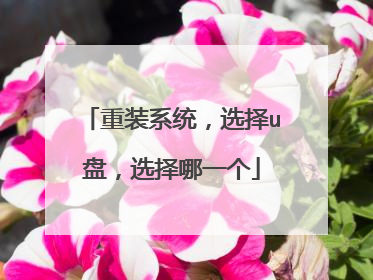 重装系统,选择u盘,选择哪一个